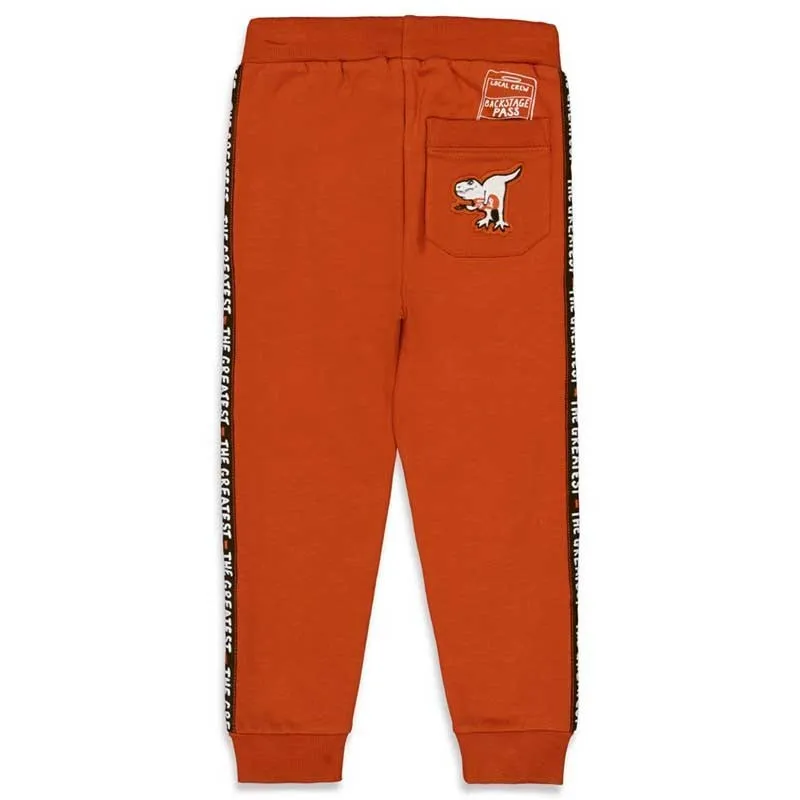 Pantalón niño punto marrón de Sturdy